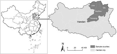 The impact of agricultural machinery services on cultivated land productivity and its mechanisms: A case study of Handan city in the North China plain